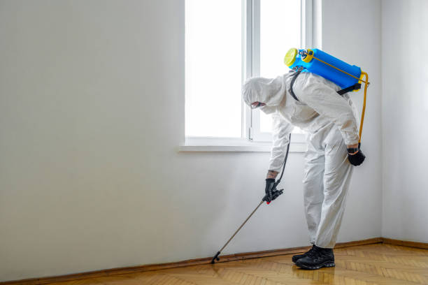 Best Wildlife Control Services  in Florissant, MO