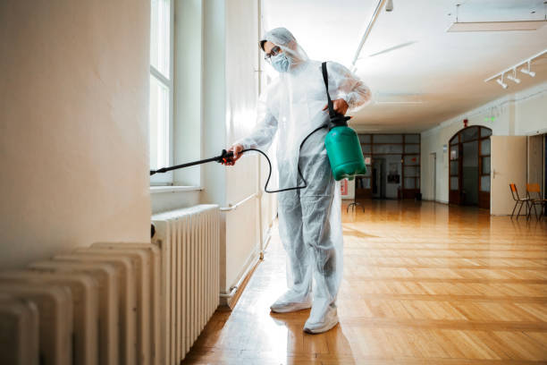 Professional Pest Control in Florissant, MO