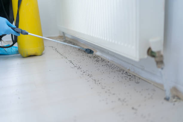 Reliable Florissant, MO Pest Control Solutions