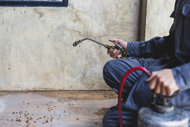Best Termite Control Services  in Florissant, MO